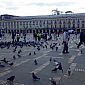 Place centrale pleine de pigeons...