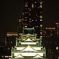 Château d'Osaka de nuit