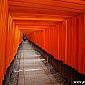 Temple Fushimi Inari-taisha