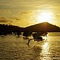 Baie Maa coucher de soleil avec les palétuviers