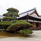 Visite du pavillon d'or, Kinkaku-ji